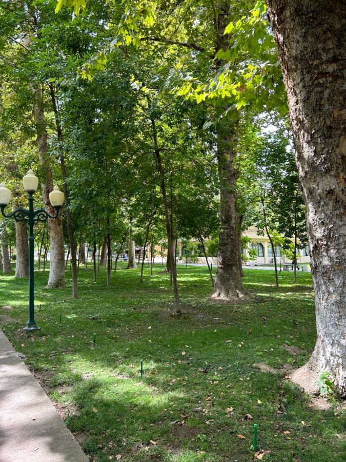 Comfort 2 Room Apartment City Center Tsum Tashkent Exterior foto